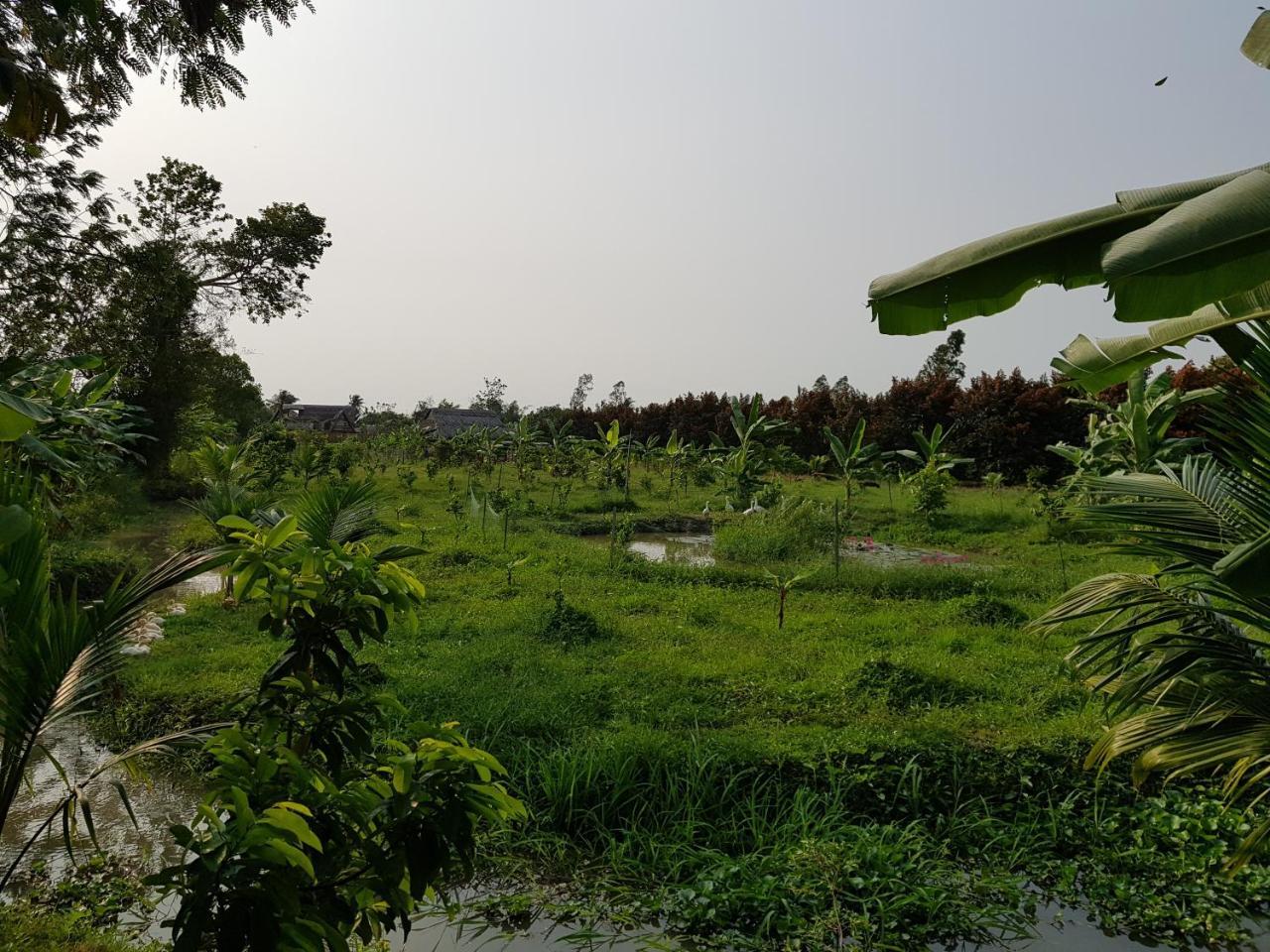 Mekong Delta Ricefield Lodge Can Tho Eksteriør bilde